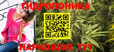 шишки Краснознаменск