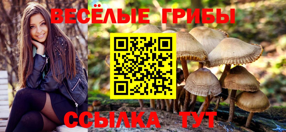 Галлюциногенные грибы прущие грибы Благовещенск